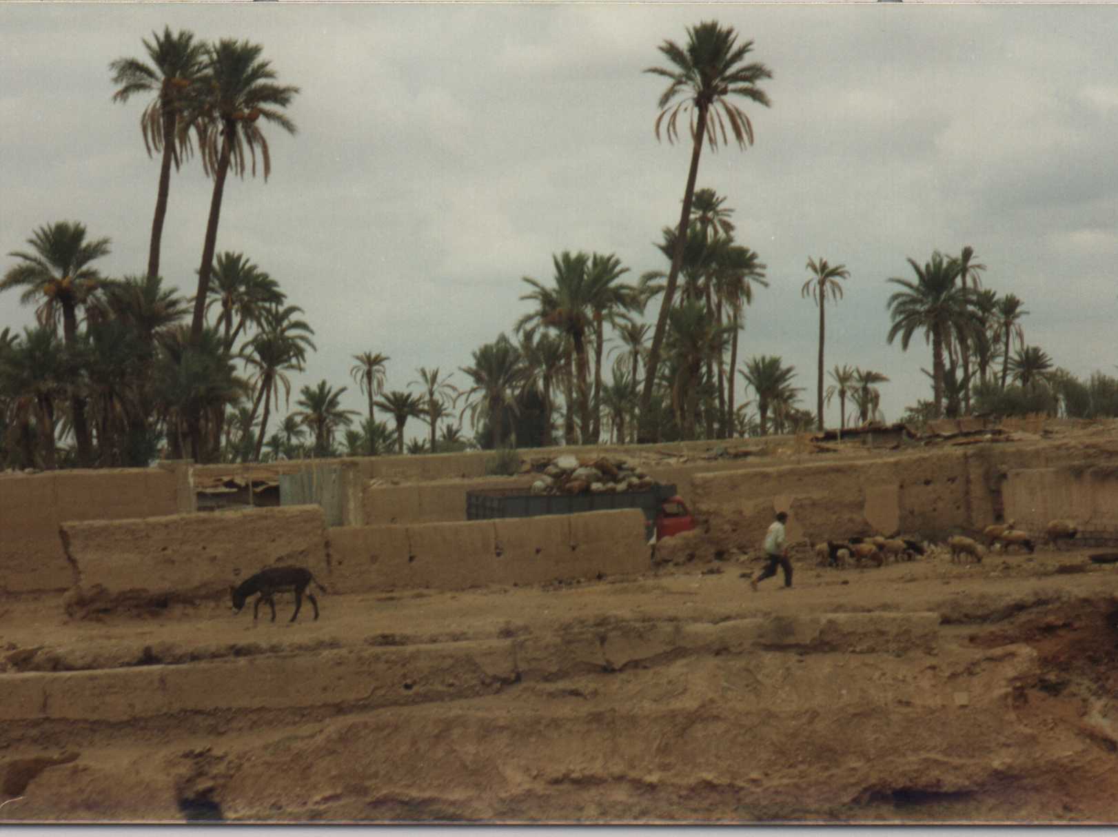 Foto 12